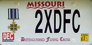 lic_plate.jpg (12307 bytes)